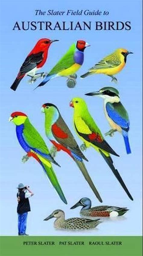 The slater field guide to australian birds. - Scritti in ricordo di carlo fabrizi.