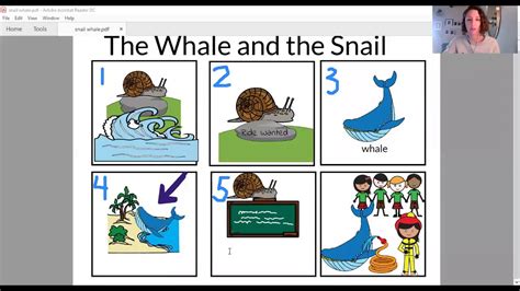 The snail and the whale sequencing pictures. - Replacing 1986 harley davidson sportster manuals.