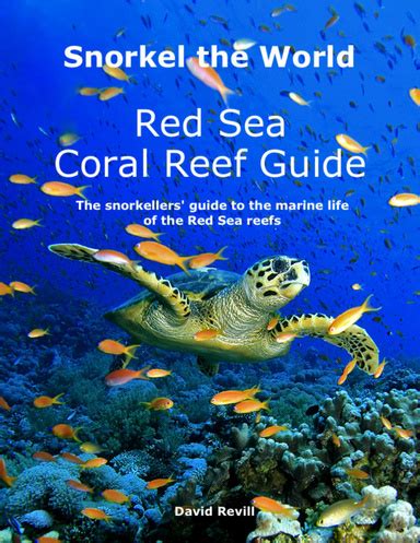 The snorkellers guide to the coral reef from the red sea to the pacific ocean. - 1990 bmw 535i service and repair manual.