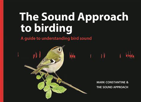 The sound approach to birding a guide to understanding bird. - Wirtschaft und betriebswirtschaftslehre in griechenland und deutschland..