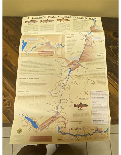 The south platte river colorado fishing map and guide. - Hepatology a textbook of liver disease 2 volume set 4e.