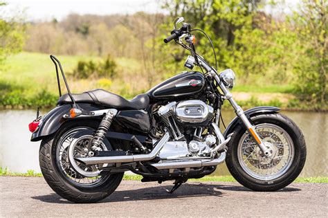 The sportster. Things To Know About The sportster. 