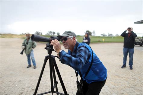 The story of Big Junior and other wonders at 5 Bay Area birding sites