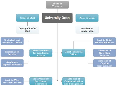 The structure of the University