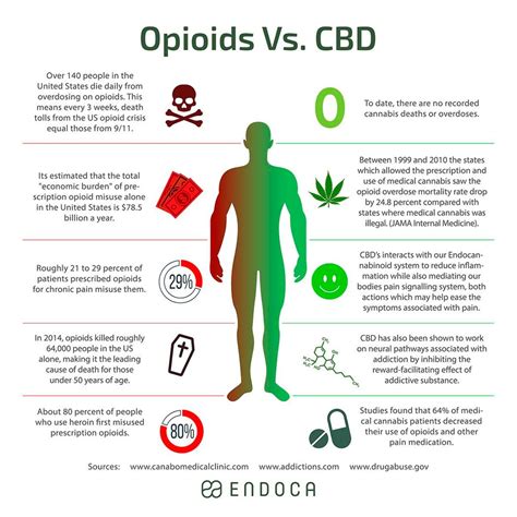 The study participants received medical CBD prescriptions for a variety of ailments, including non-cancer pain, cancer-related symptoms, neurological symptoms, and mental health symptoms