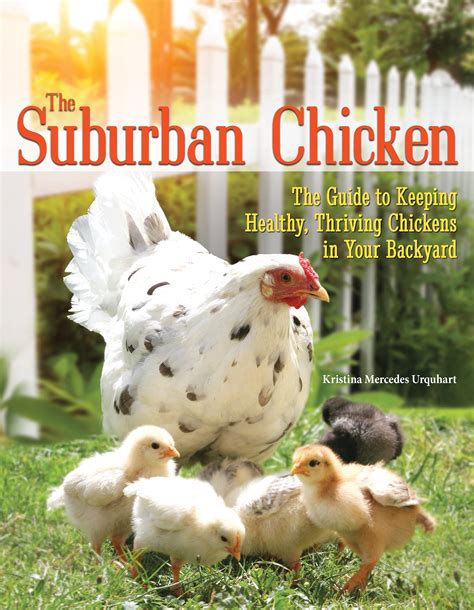 The suburban chicken the guide to keeping healthy thriving chickens in your backyard. - 40 años después de la noche triste.