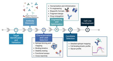 The target discovery process - PubMed