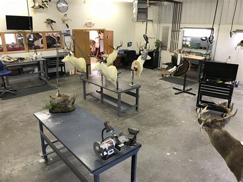 The taxidermy store wisconsin. A Wisconsin nurse is accused of amputating a patient’s foot without permission and wanting to display it in her family's taxidermy shop, according to court documents. Mary K. Brown, 38, removed ... 