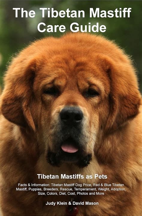 The tibetan mastiff care guide tibetan mastiff as pets facts information tibetan mastiff dog price red. - Manuscrits slaves de la bibliothèque impériale de paris.