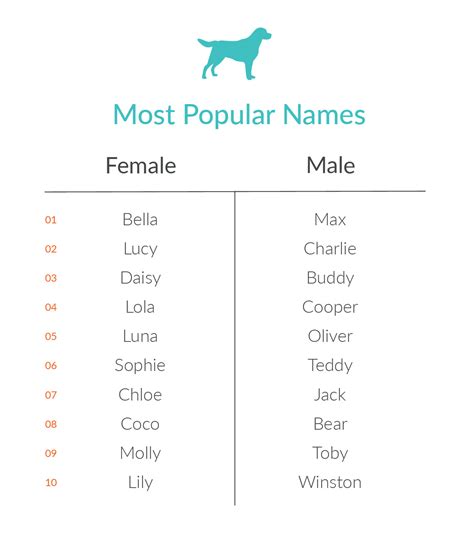 The top-trending pet names in Austin, according to a new study