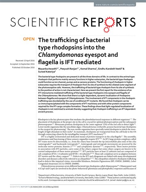 The trafficking of bacterial type rhodopsins into the …