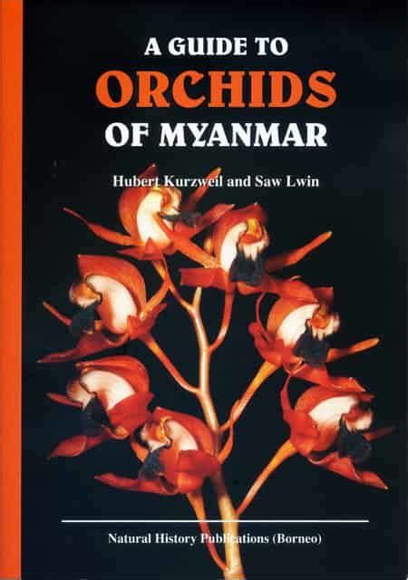 The traveller s history of burma orchid guides. - Chapter 11 study guide answer key.