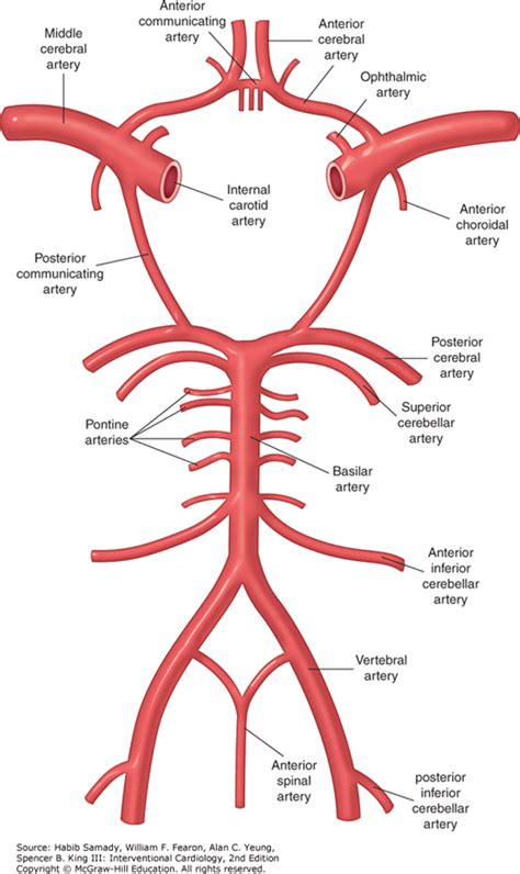 The treatment of spontaneous carotid and vertebral artery …