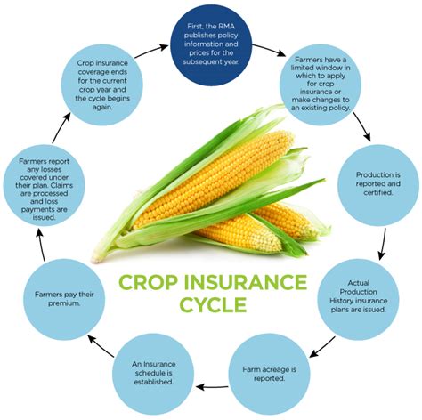 The true increase to crop insurance rates: Horner