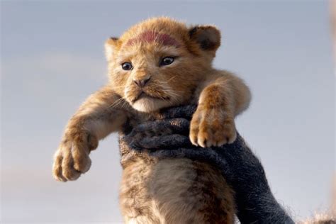 The true story behind ‘The Lion King’ - The Washington Post