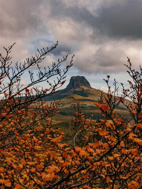 The turning of the Fagus: autumn in Tasmania Tasmanian Expediti