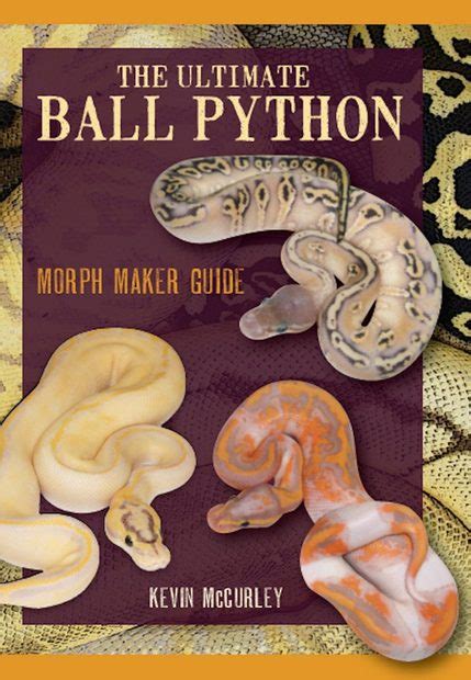 The ultimate ball python morph maker guide. - A youth baseball coaching guide by danford chamness.