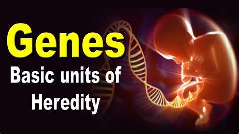 The ultimate biological unit which controls heredity is called (1 ...