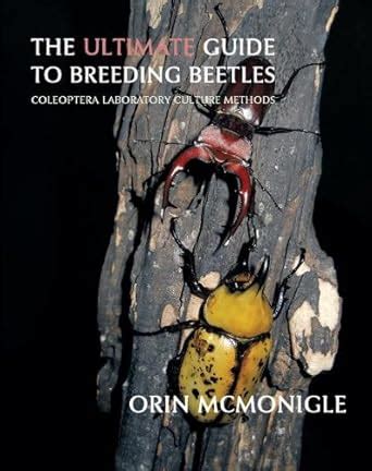 The ultimate guide to breeding beetles coleoptera laboratory culture methods. - Igcse study guide for computer science.