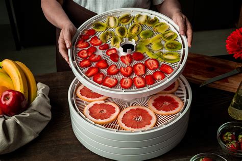 The ultimate guide to food dehydration and drying how to dehydrate dry and preserve your food. - Litterature de l'age baroque en france: circe et le paon..