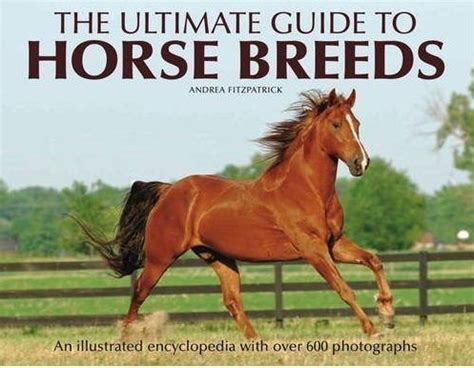 The ultimate guide to horse breeds. - Volvo penta marine engine factory repair manual download.