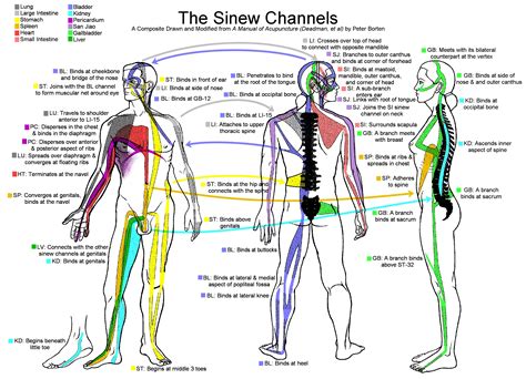 The users manual of human body channels and collaterals. - Lg 42lw4500 series zb led tv service manual repair guide.