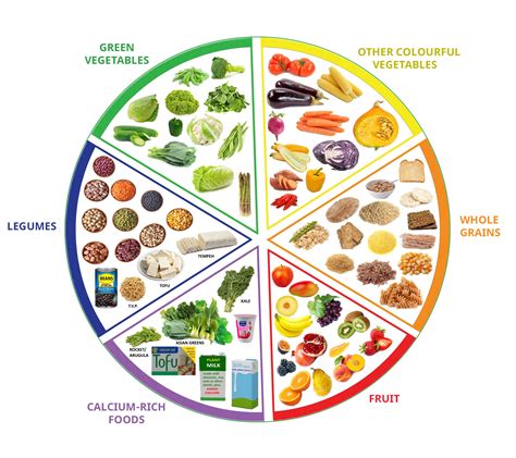 The vegan health plan a practical guide to healthy living. - Manual de servicio del motor z20s.