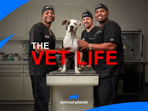 The vet life. Dr. Diarra Blue, a co-founder of Cy-Fair Animal Hospital, featured on “The Vet Life” on Animal Planet, has opened a PetSmart Veterinary Services (PVS) hospital in Houston, TX. Part owner and Houston native Dr. Bianca Kirkland will serve as the location’s primary practicing veterinarian. The hospital is now accepting new pet patients at ... 