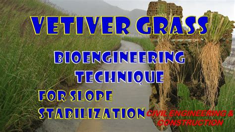 The vetiver system for slope stabilization an engineeraposs handbook. - Spanish for dental professionals a step by step handbook.
