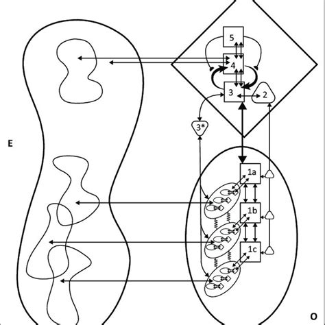 The viable system model Download Scientific Diagram