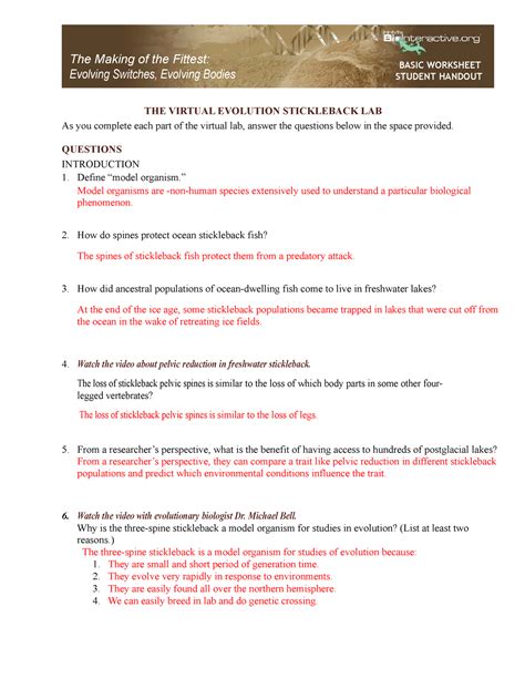 Virtual Evolution Stickleback Lab Answer Key waraeg de. Virtual Evolution Stickleback Lab Answer Key. stag.butterfield.com 1 / 12. Virtual Evolution Stickleback Basic Lab Answer Key Read and Download The Virtual Evolution Stickleback Lab Answer Key Free Ebooks in PDF format ABOVE ALL THINGS .... 