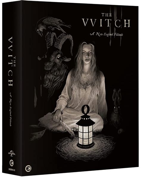 The vvitch a new-england folktale. A colonial New England family is banished from their community, and heads into the wilderness to build their homestead and fend for themselves. When their infant son inexplicably vanishes, it's apparent immediately that something unspeakable has happened. 