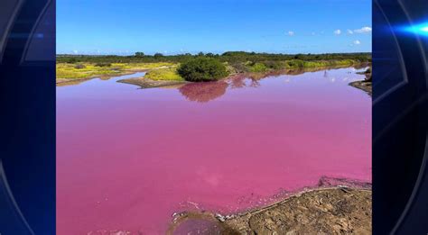 The water has turned a shocking shade of magenta in this Hawaii refuge