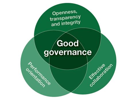 The way forward: an independent review of the governance and ...