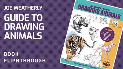The weatherly guide to drawing animals. - New members training guide for baptist church.