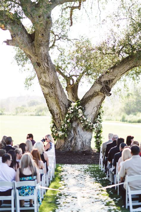 The wedding tree. Things To Know About The wedding tree. 