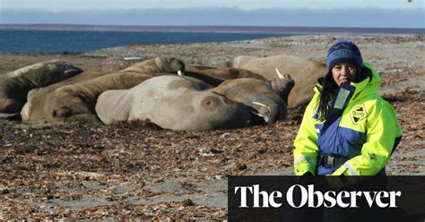 The week in TV: Drowning in Plastic; Horizon - The Guardian