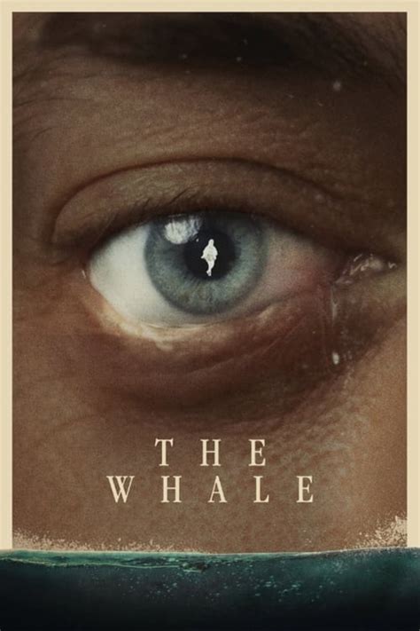 The whale 123movies. 'The Whale,' starring Brendan Fraser and Sadie Sink, is nominated for several awards. Here's a guide on how to watch 'The Whale,' including where to stream. 