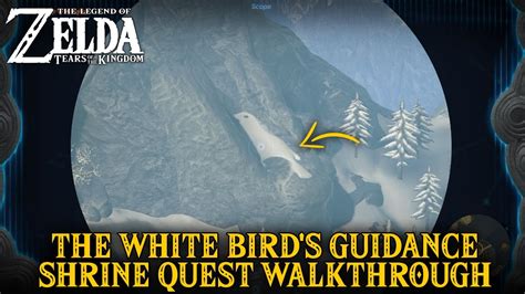 The white birds guidance. Things To Know About The white birds guidance. 
