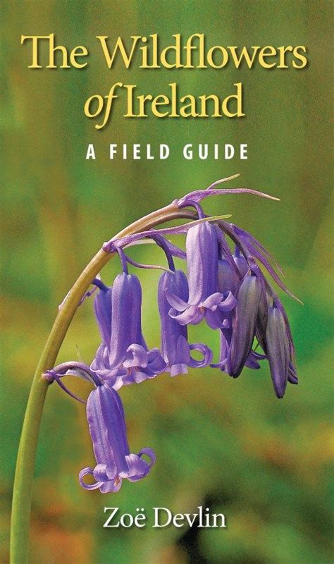 The wildflowers of ireland a field guide a field guide. - Engine drivetrain manual for j20a suzuki.