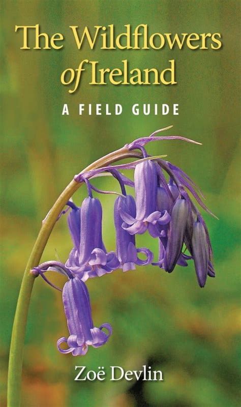 The wildflowers of ireland a field guide. - Epson perfection v300 photo scanner manual.