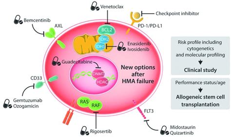 The wolf of hypomethylating agent failure: what comes next?