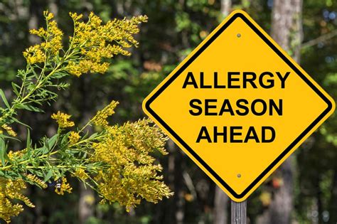 The worst of spring allergies are over — Here's what's ahead