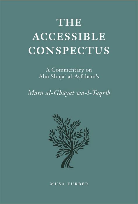 Read Online The Accessible Conspectus By Musa Furber