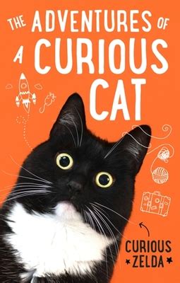 Read Online The Adventures Of A Curious Cat Wit And Wisdom From Curious Zelda Purrfect For Cats And Their Humans By Curious Zelda