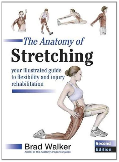 Read Online The Anatomy Of Stretching Your Anatomical Guide To Flexibility And Injury Rehabilitation By Brad Walker