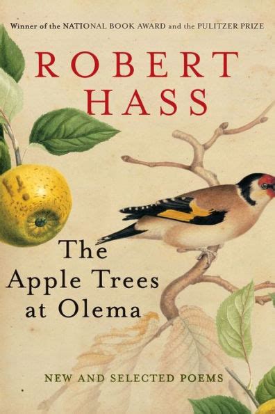 Read Online The Apple Trees At Olema New And Selected Poems By Robert Hass
