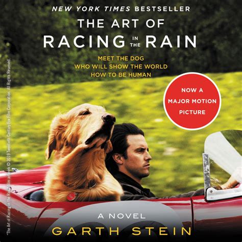 Full Download The Art Of Racing In The Rain By Garth Stein