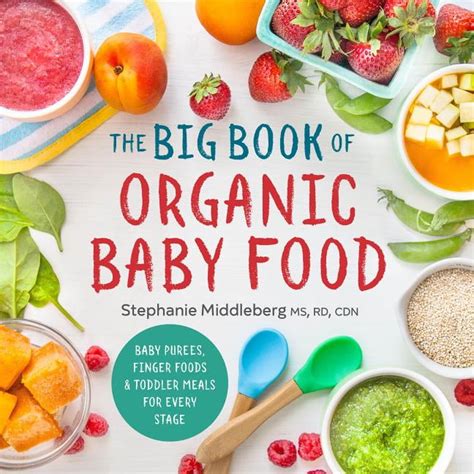 Read The Big Book Of Organic Baby Food Baby Purees Finger Foods And Toddler Meals For Every Stage By Stephanie Middleberg