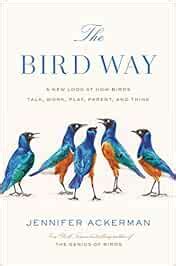 Read Online The Bird Way A New Look At How Birds Talk Work Play Parent And Think By Jennifer Ackerman